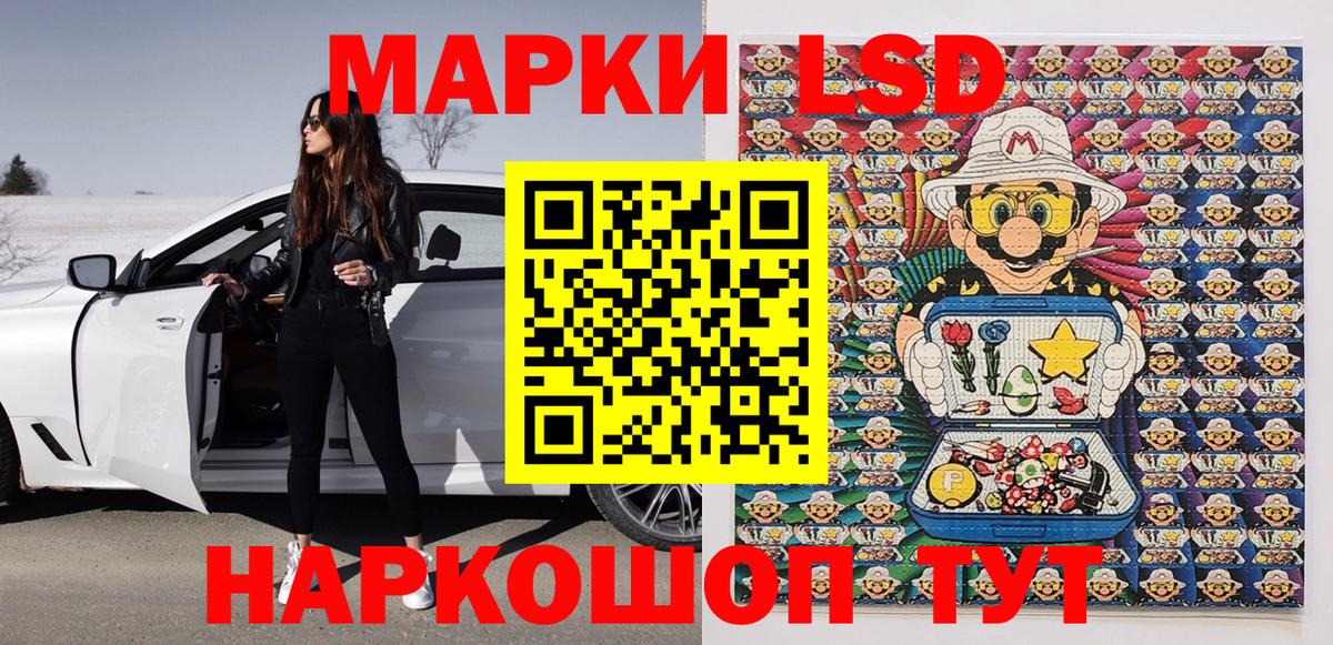 Галлюциногенные грибы Можга