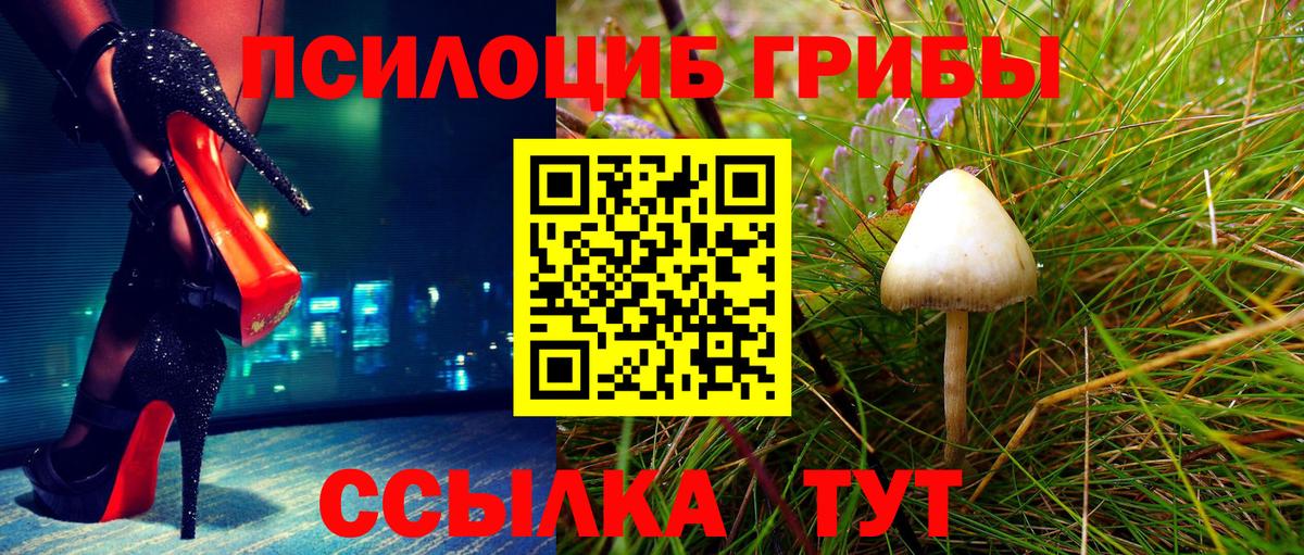 Галлюциногенные грибы GOLDEN TEACHER  Вход с VPN  Можга 