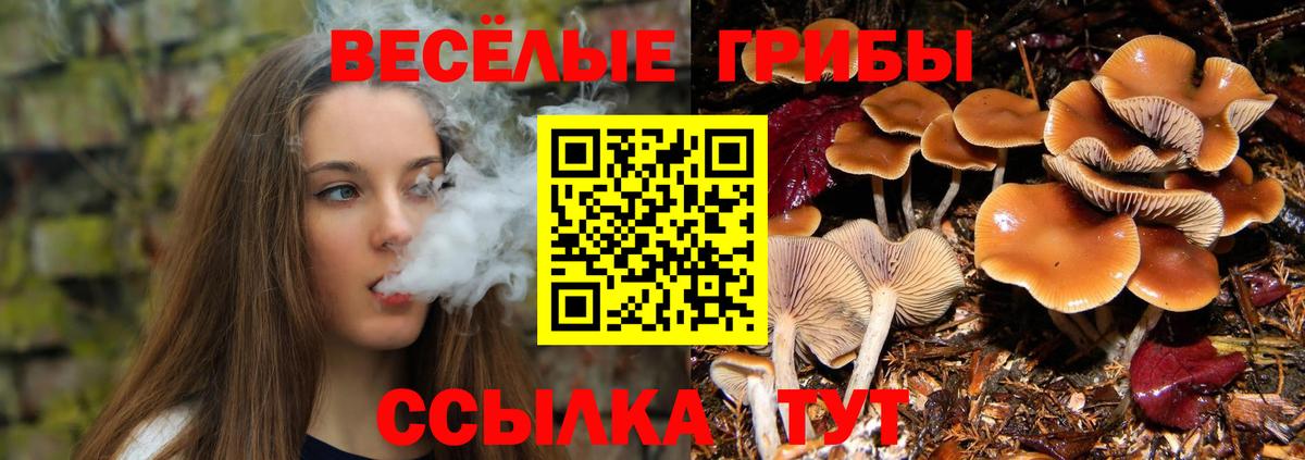 Галлюциногенные грибы прущие грибы Можга